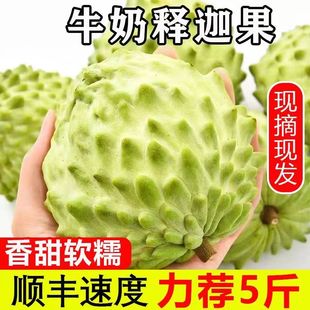 顺丰发货新鲜牛奶凤梨释迦果林檎番荔枝热带水果摩尼佛头果当季
