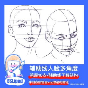 ESL笔刷procreate辅助线笔刷面部多角度辅助人脸ipad画画基础练习