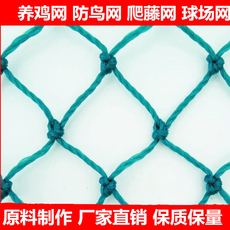 防鸟网果园防鸟网果树阳台防鸟鸡其它园艺用品