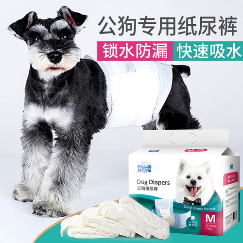 宠物生理内裤价格 宠物生理内裤图片 星期三