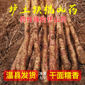 温县铁棍山药怀山药净重5斤