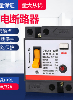 DZL18-32小型家用漏电断路器20A 32A漏电保护器空气开关2P 220V