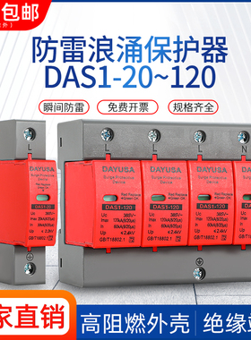 40KA浪涌保护器 4P电源防雷器家用220V 2P避雷器电涌开关光伏20KA