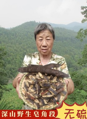 皂角野生干货皂角中药材大皂角粉皂荚天然洗发侧柏叶无患子长皂角