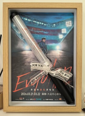 谢霆锋演唱会荧光棒收纳相框展示盒装饰摆台透明摆件纪念周边礼物