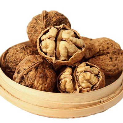 云南纸皮核桃云南古树纸皮核桃