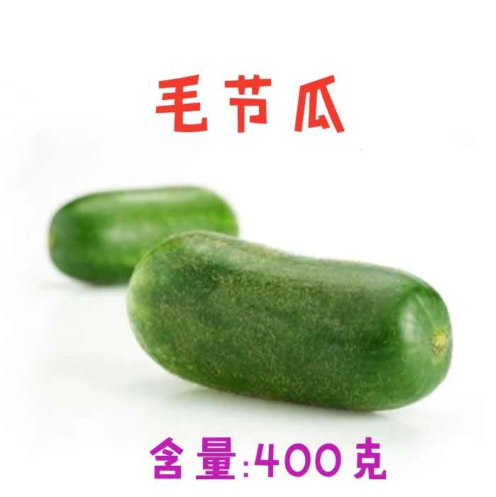 新鲜毛节瓜 节瓜400一个时鲜
