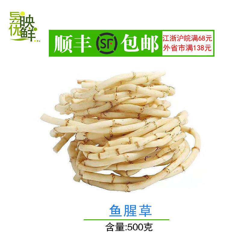 【昱映优鲜】新鲜鱼腥草  折耳根节节根500克