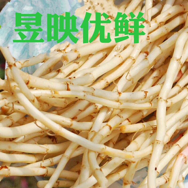 【昱映優鮮】新鮮魚腥草 折耳根節節根500克