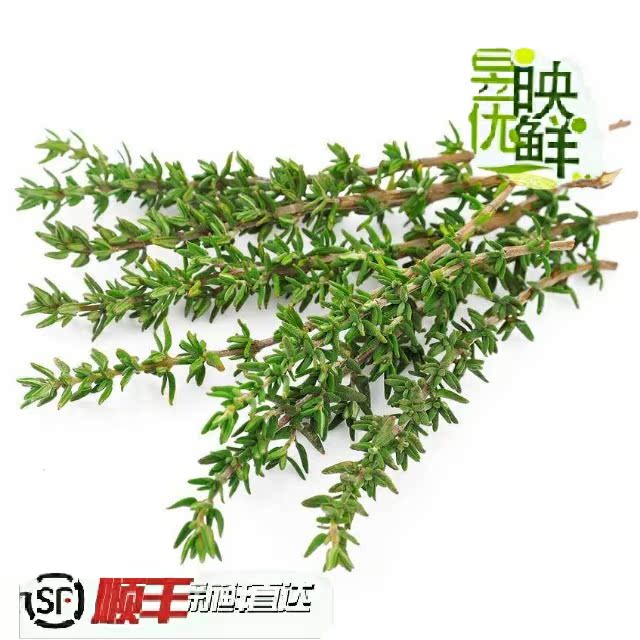 【昱映優鮮】百里香 麝香草西餐廳食品裝飾用料100克