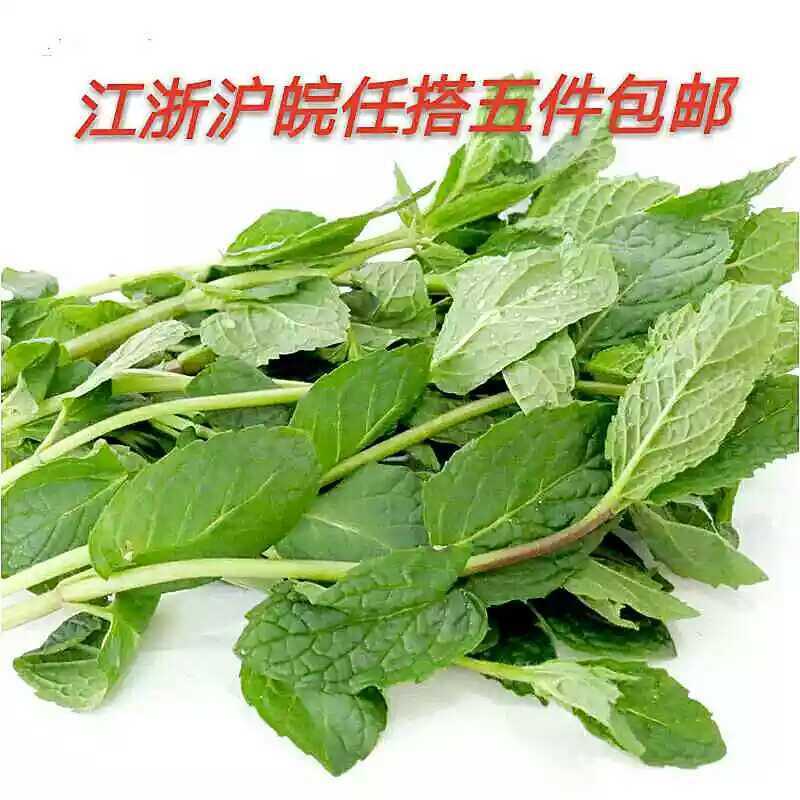 昱映優鮮 新鮮薄荷葉 留蘭香薄荷 香料 150g