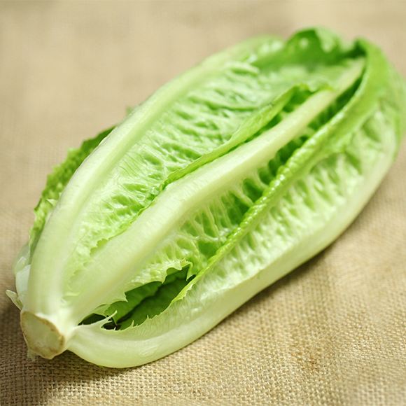 【昱映優鮮】 新鮮 包心羅馬 生菜 嫩葉沙拉菜500克
