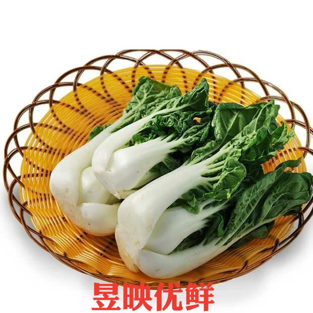 【昱映優鮮】新鮮精品 奶白菜 500克