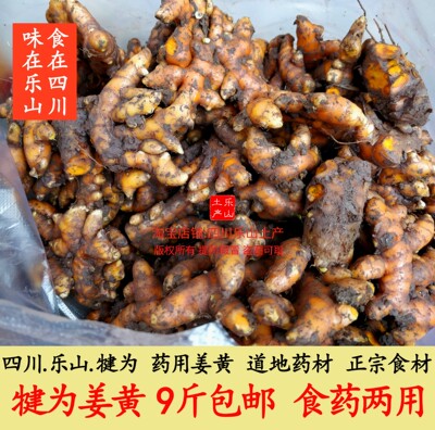 四川犍为姜黄生态川姜黄现挖鲜发