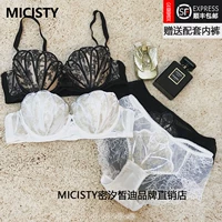 Micisty Mi xixi di di Shell.