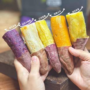 粗粮百宝箱五大名薯紫薯烟薯榴莲蜜薯哈密白薯红瑶红薯多拼彩箱