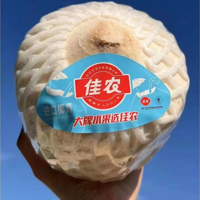 佳农易开泰国香水椰青850克单颗当季新鲜网红易拉罐椰香水椰子