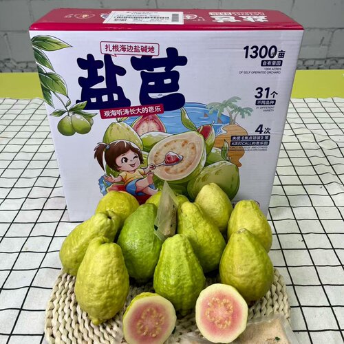 盐芭®冰淇淋草莓芭乐浓香粉红软糯红心软芭乐番石榴礼盒装 4 斤