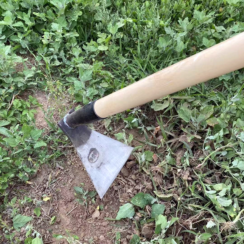 锄头农用锰钢农具挖土家用种菜大锄头除草神器开荒户外小工具挖笋