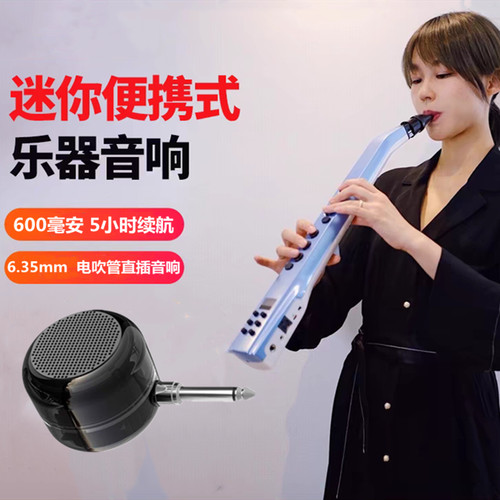 【电吹管专用音箱】【手机扩音】