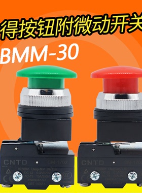 CNTD 昌得大头按钮CBMM-25/30（附微动CM-1702）250V 15A
