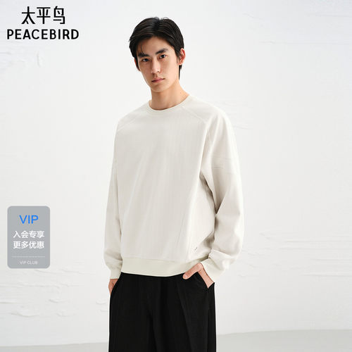 太平鸟男装 宽松圆领卫衣男金属缝标设计肌理感提花套头卫衣男