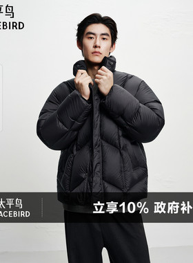 【95%进口鸭绒】太平鸟男装 排骨羽绒服冬季20D面包服外套防寒服