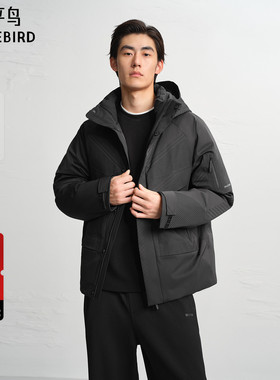 【商场同款】太平鸟男装 2025年冬季新款肌理感羽绒服男B2ACF4618