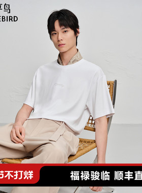 【商场同款】太平鸟男装 2026年春季新款后背刺绣T恤男B1CNG1213
