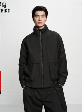 【商场同款】太平鸟男装 2025年冬季新款黑色立领羽绒服B1ACF4B31