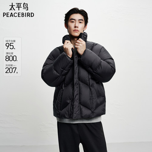 【95%进口鸭绒】太平鸟男装 排骨羽绒服25冬季新款20D面包服外套