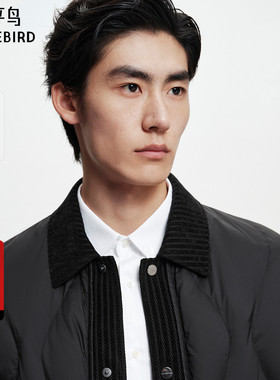 【商场同款】太平鸟男装衬衫式羽绒服新款轻薄羽绒外套B2ACF420D