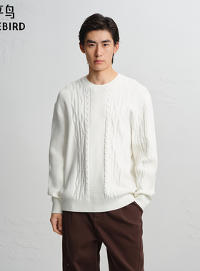【商场同款】太平鸟男装毛衫冬季时尚绞花套头针织衫 B2EBF4506