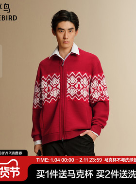 【商场同款】太平鸟男装 2026年新年毛衣男潮流开衫毛衫B2EAG1128