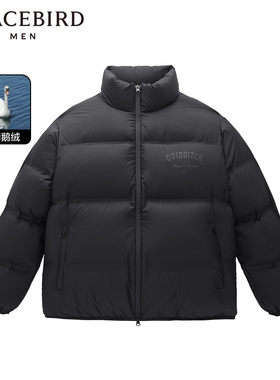 【哈利波特联名】太平鸟男装2023年冬季新款立领羽绒服B1ACD4426