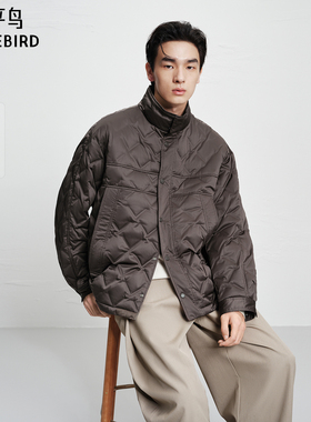 【商场同款】太平鸟男装羽绒服25冬新款立领衬衫羽绒 B2ACF4317+