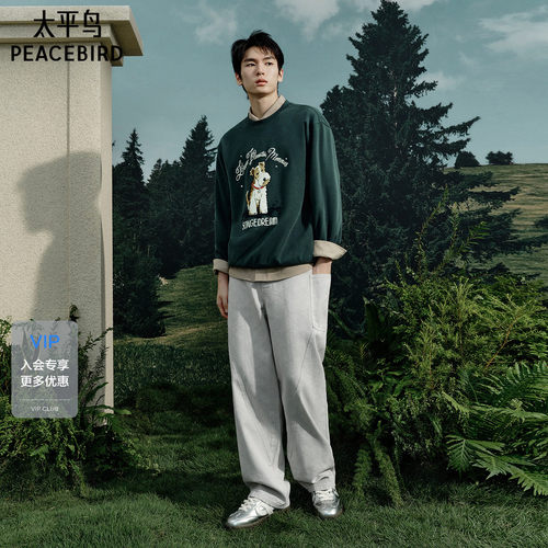 太平鸟男装 休闲卫衣男士时尚经典潮流春季圆领套头卫衣男士上衣
