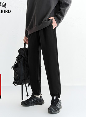 【商场同款】太平鸟男装休闲裤25冬季新款锥形束脚裤 B2GF412S