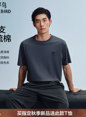 太平鸟男装纯色小标短袖T恤2026夏新款情侣纯色打底衫圆领半袖潮s