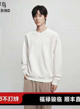 【商场同款】太平鸟男装 2025年冬季新款圆领莫代尔卫衣B2CRF4133