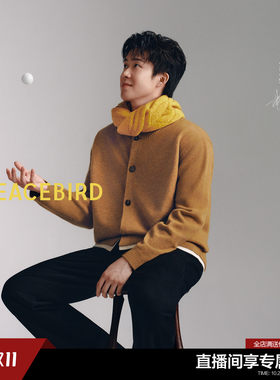 【王楚钦同款】太平鸟男装休闲毛衫男士纯羊毛羊毛衫 B1EDG4246