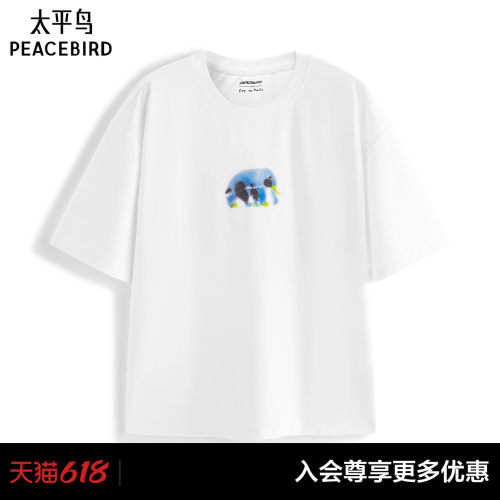 【艺术家Rop联名】太平鸟男装太平鸟男装T恤26夏短袖 B2CNG2426#