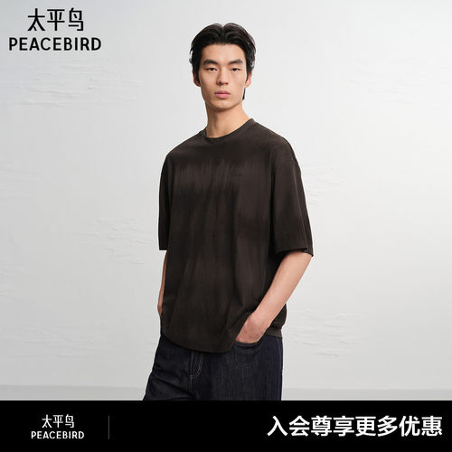 【商场同款】太平鸟男装 2026年夏季新款宽松刺绣T恤男B2CNG223L