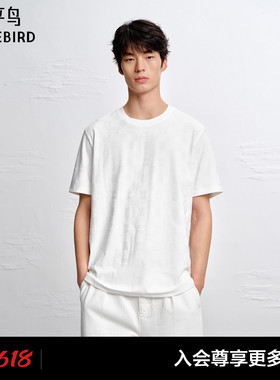 【商场同款】太平鸟男装 2026年夏季新款提花短袖T恤男B1CNG2170#