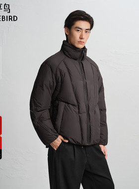 【商场同款】太平鸟男装 休闲羽绒服立领时尚面包服男 B2ACF4523