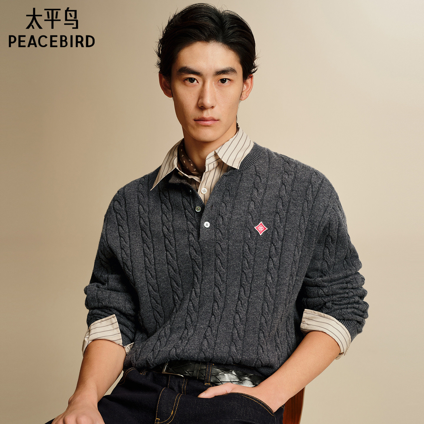 太平鸟男装 休闲毛衫26春季新款绞花复古绞花亨利领时尚男士毛衣