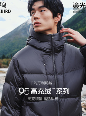 【95%高充绒】太平鸟男装 防寒羽绒服2026年冬季新款连帽面包服