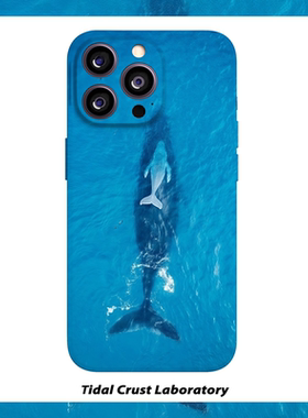 化身孤岛的鲸自由蓝色菲林二合一手机壳适用苹果17nova14华为p70mate60小米15opporen14ovivo荣耀300iPhone16