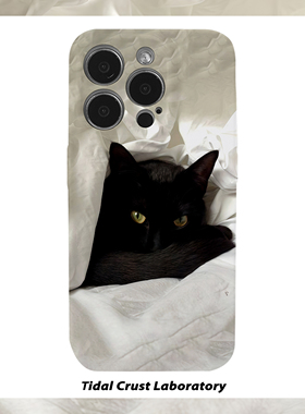 创意黑色猫猫的凝视菲林二合一手机壳适用苹果17nova14华为p70mate60小米15opporen14ovivo荣耀300iPhone16