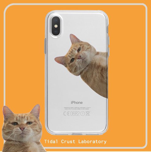 可爱猫咪橘猫透明手机壳